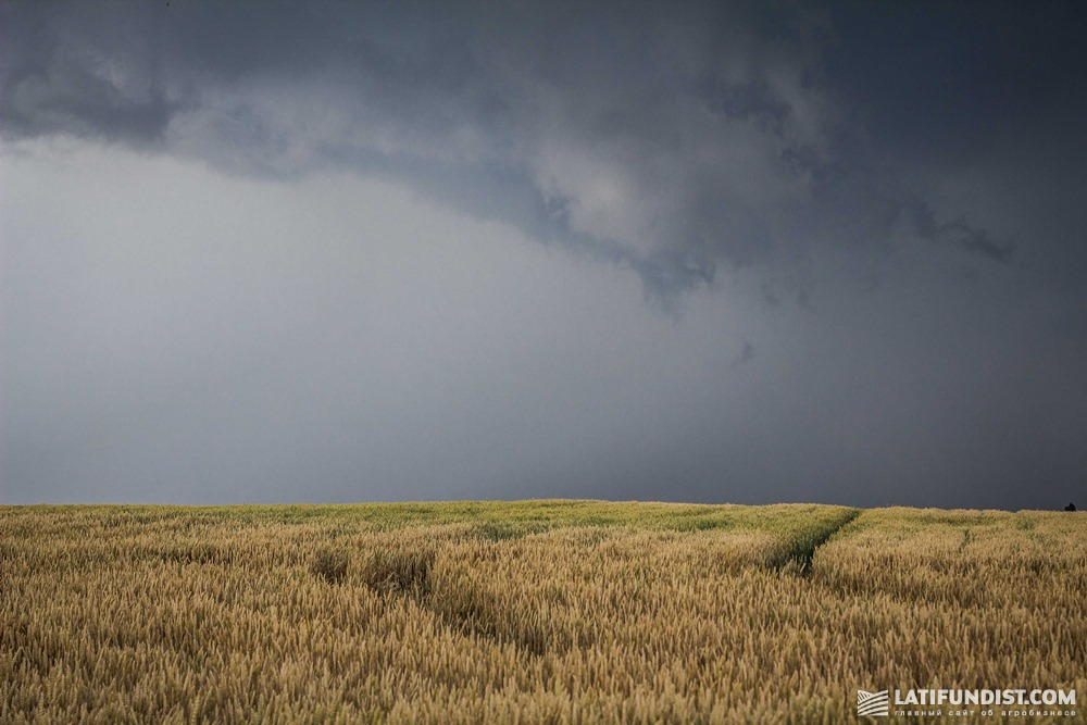 Storm developing above a wheat field in Ukraine