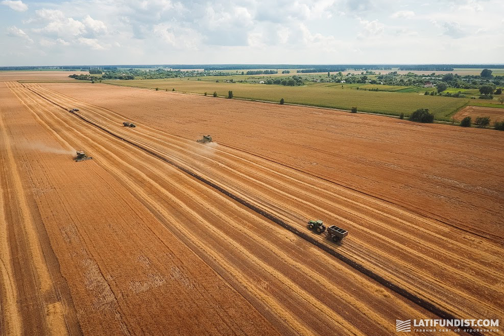 Настроения у всех нормальные — в Украине агробизнес в основном приносит хорошую прибыль собственникам не один год подряд