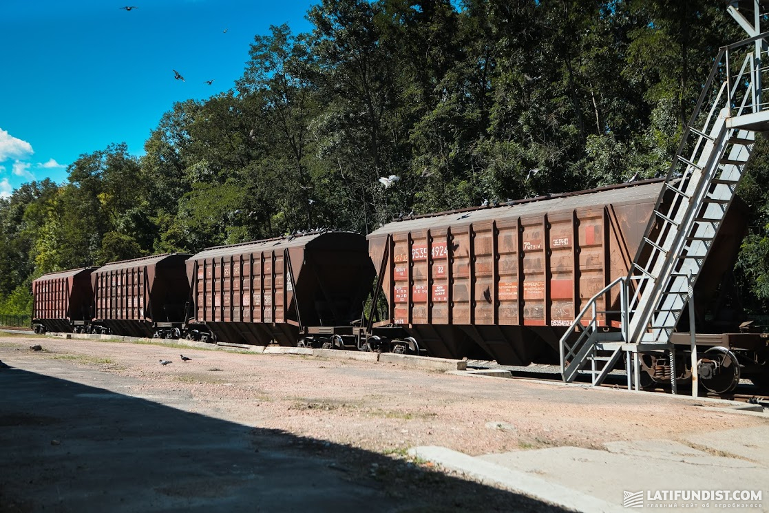 Because Ukrzaliznytsia fails to provide enough grain cars, UkrLandFarming loses UAH 700-800 per ton