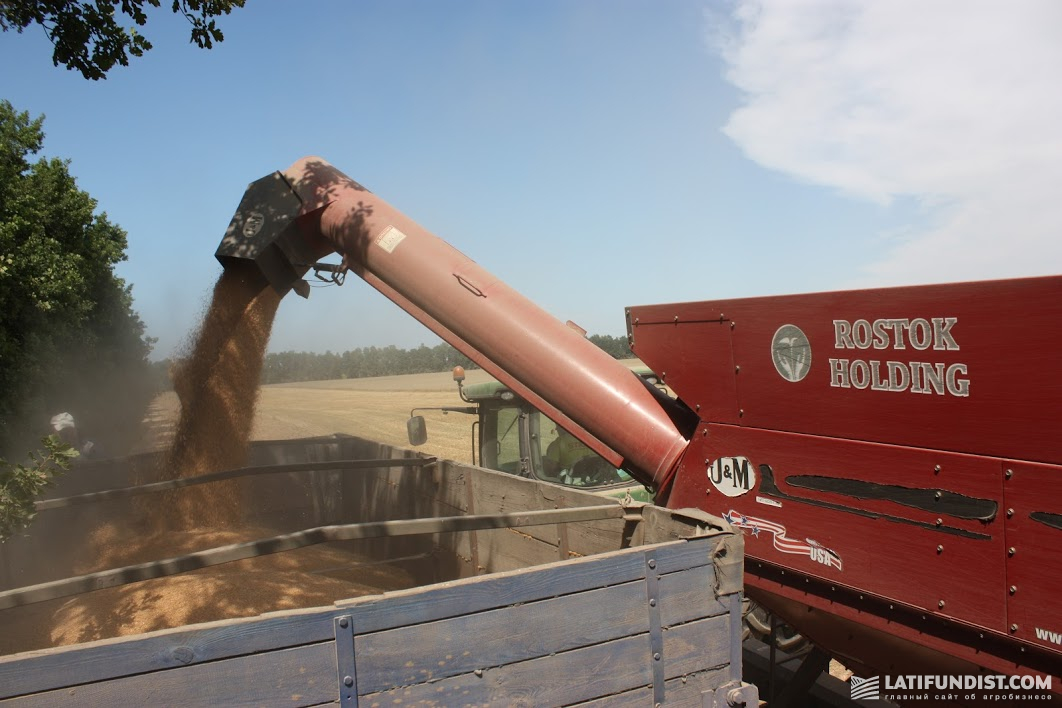 Wheat harvesting by ROSTOK-HOLDING in Sumy Region, Glukhiv district