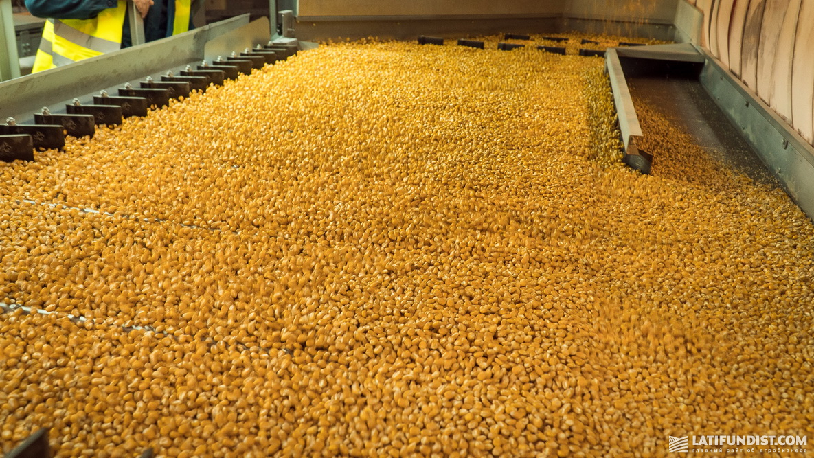 Процесс калибровки зерна