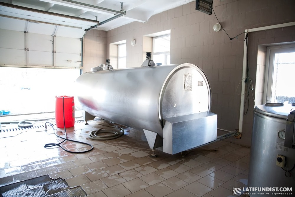 Во время доения молоко по молокопроводу поступает в танки-охладители молока