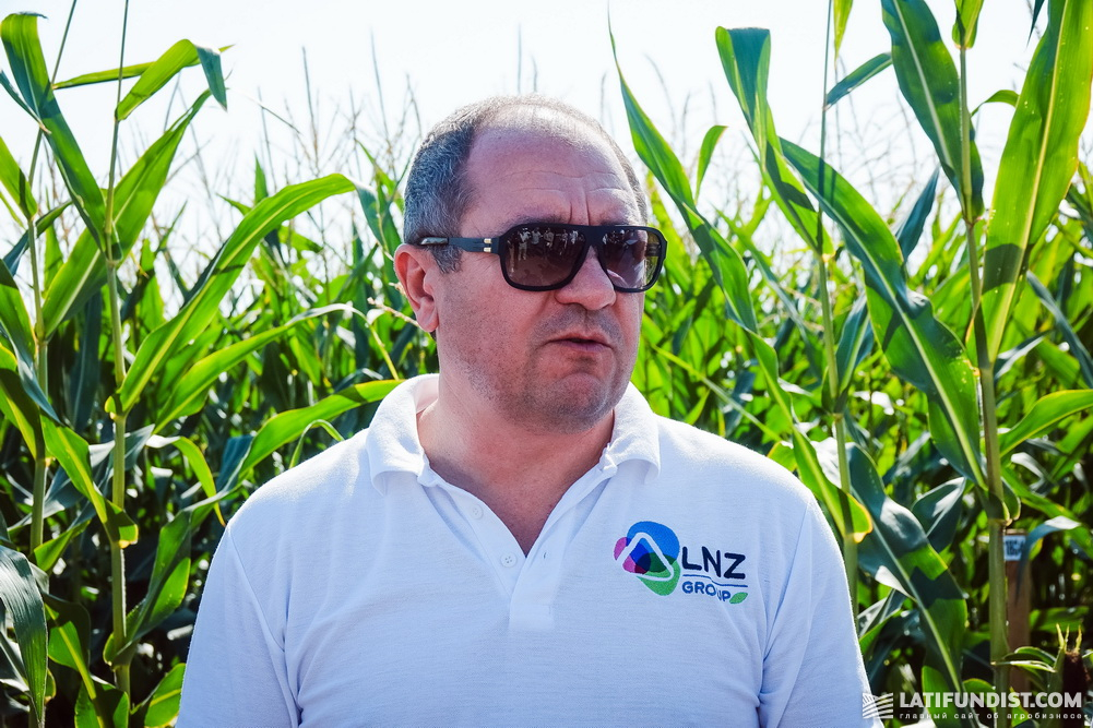 Дмитрий Кравченко, собственник LNZ Group