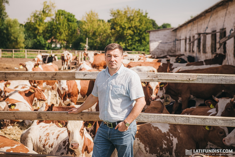 Владимир Золотарь, начальник отдела по развитию животноводства A.G.R. Group
