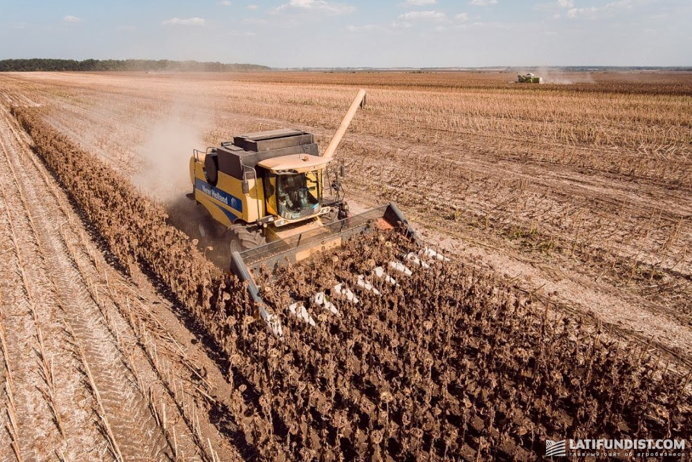 Sunflower harvesting in Ukraine