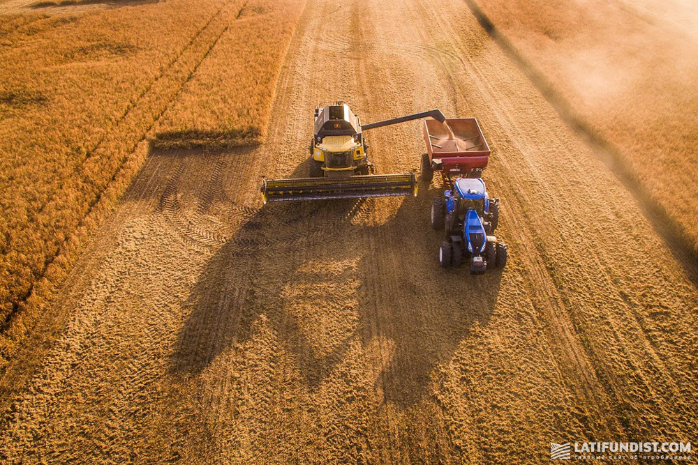 По состоянию на 30 июня 2018 г. под озимой пшеницей находилось 37 тыс. га земли компании