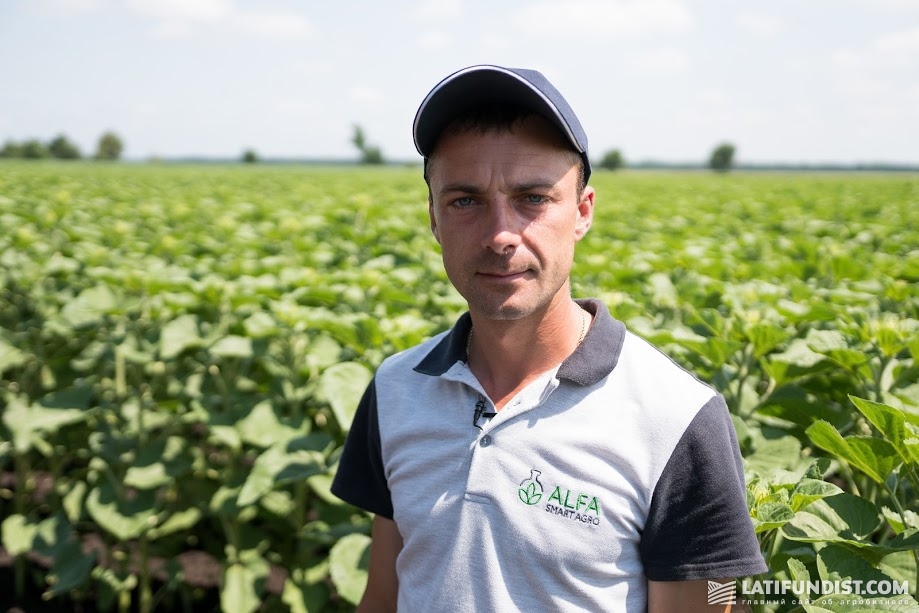 Николай Продиус, менеджер полевых исследований ALFA Smart Agro