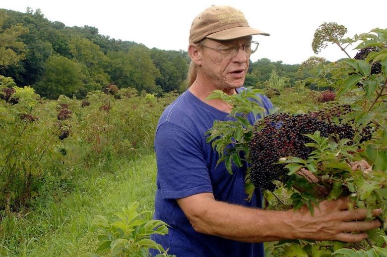 Терри Дюрхем, американский фермер, приверженец устойчивого сельского хозяйства и основатель новаторских аграрных организаций 