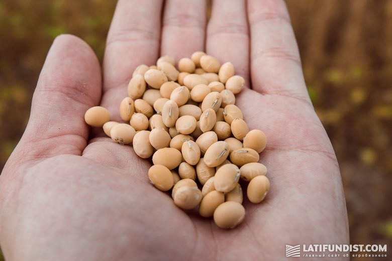 Ukrainian soybeans