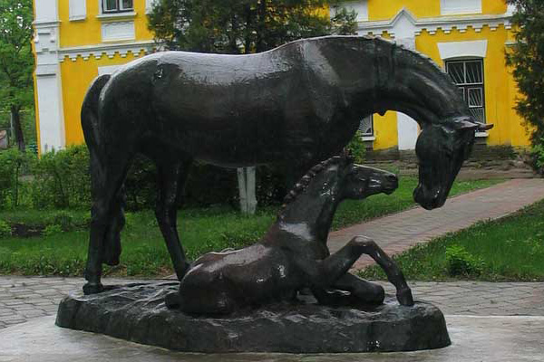 Дубровский конный завод