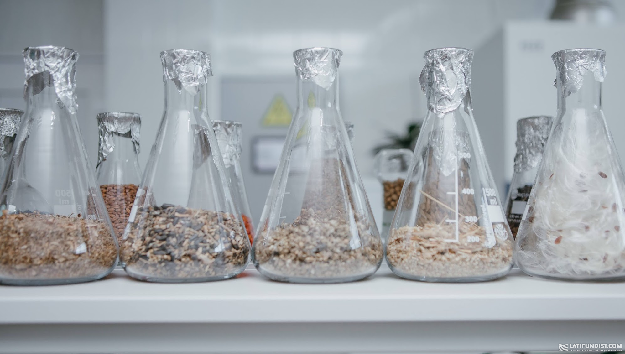 Samples of grains in a laboratory
