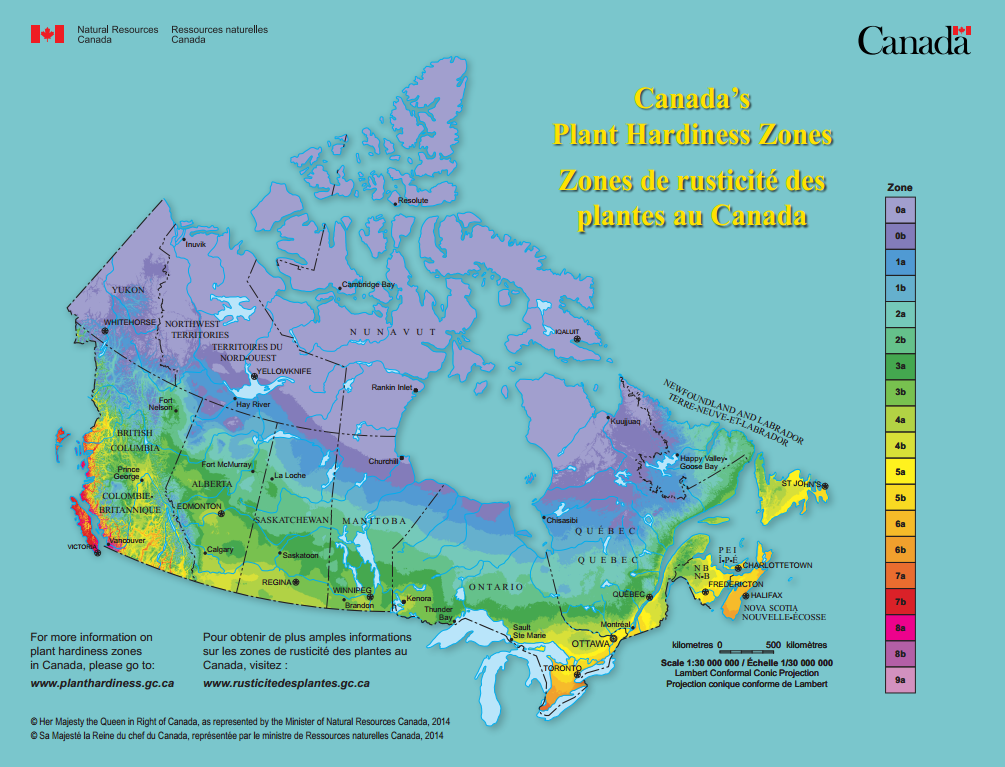 Климатические условия Канады
