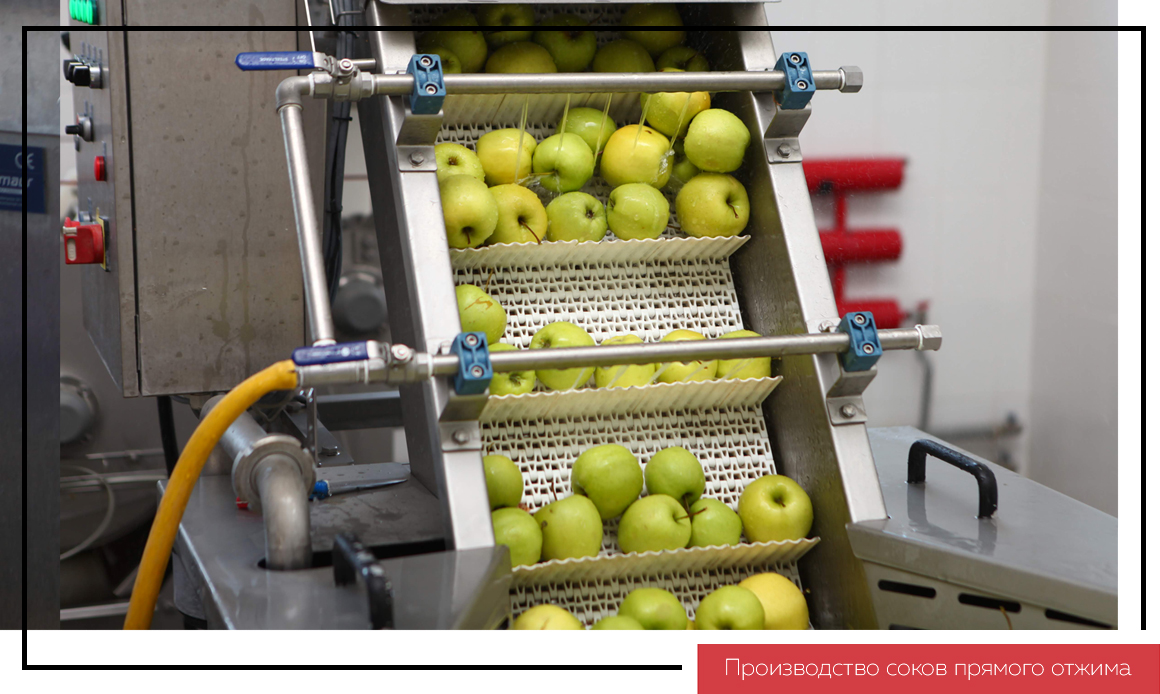 Основные этапы обработки яблок в порядке следования. Производство сока. Процесс производства яблочного сока. Яблочный сок производители. Современное оборудование для выжимки соков.