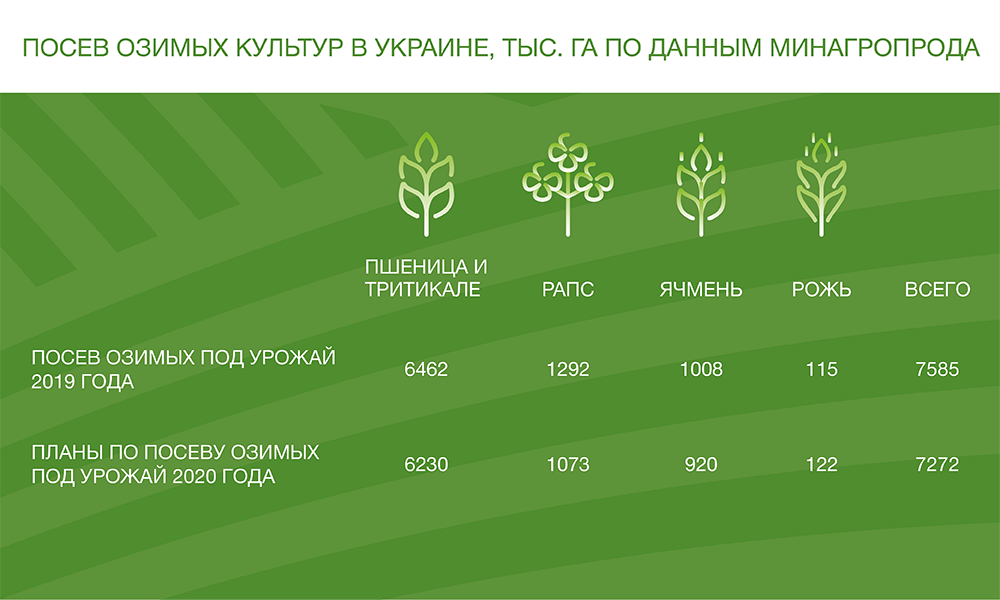 Посев озимых культур в Украине, тыс. га (по данным Минагропрода)