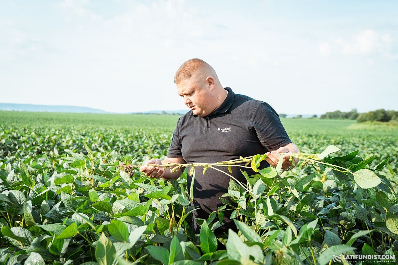 Олександр Бірук, менеджер компанії BASF у Львівській області 